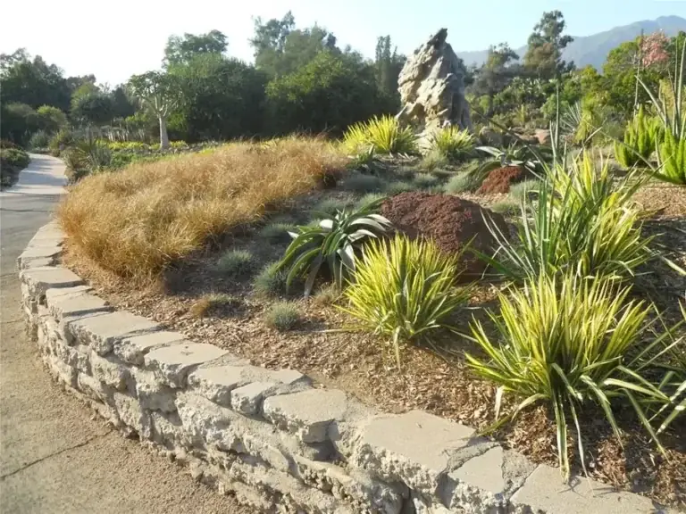 How to Manage Hardscape Design Erosion Issues: Pillar Guide